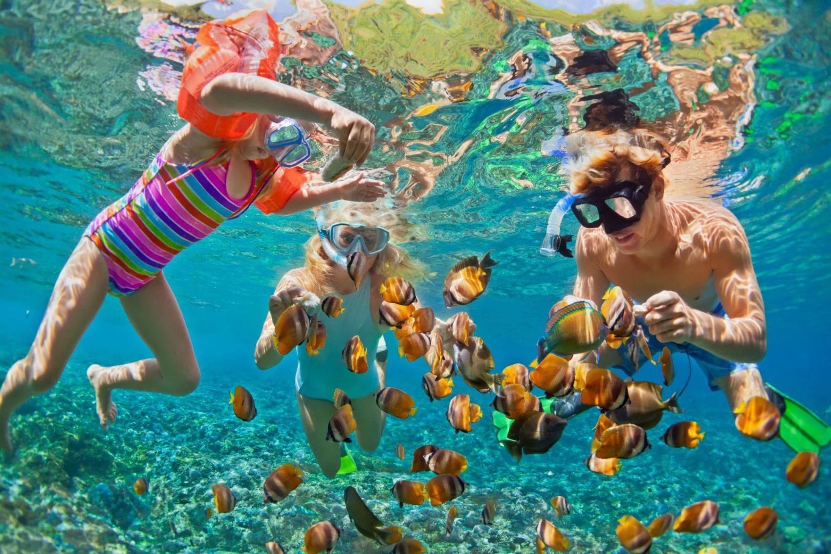 Snorkeling - Hành trình khám phá kỳ quan dưới đáy biển sâu